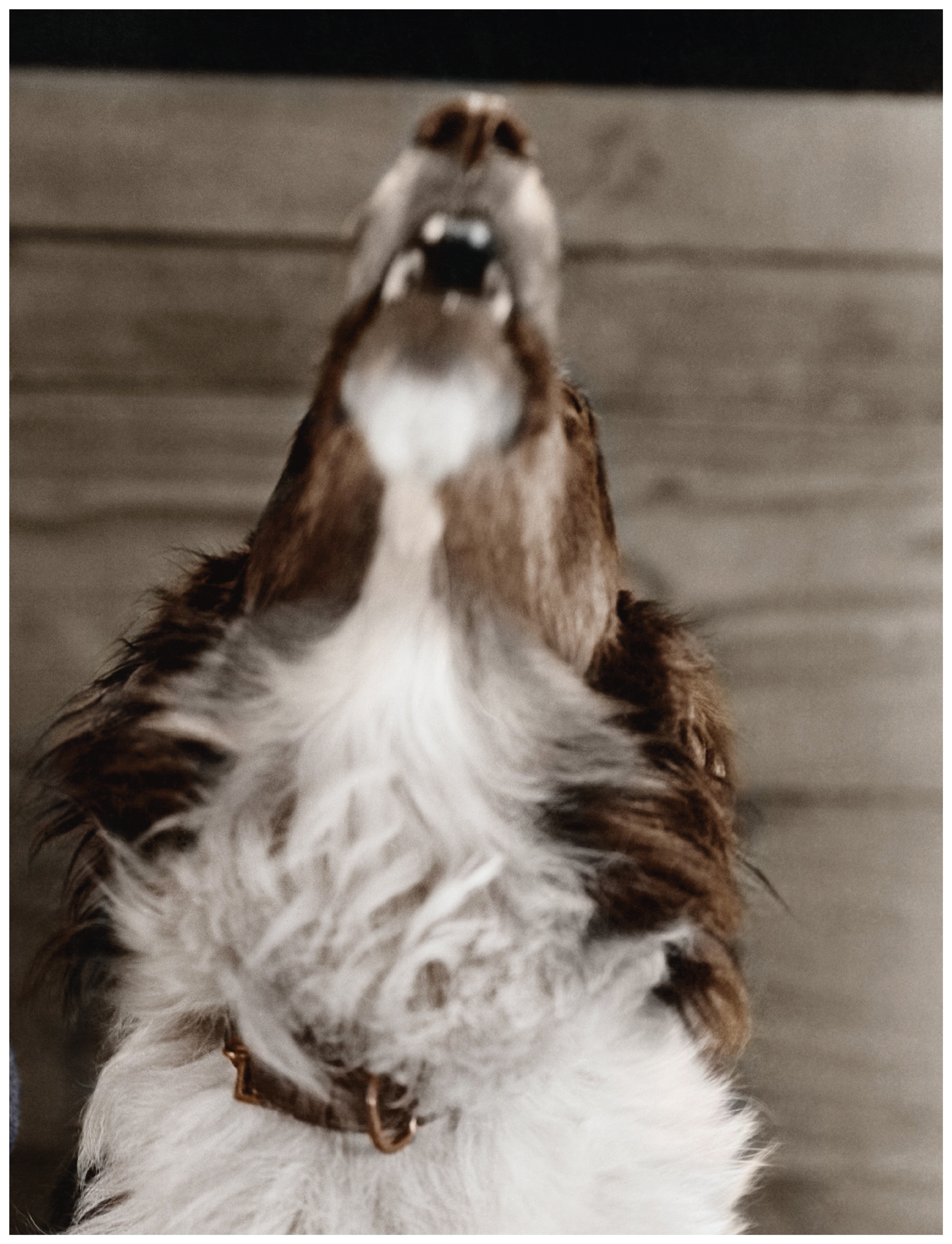 Sans titre - 1_Plan de travail 1 copie 6